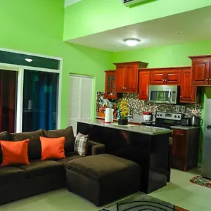 Gk Luxury Apartment Kingston